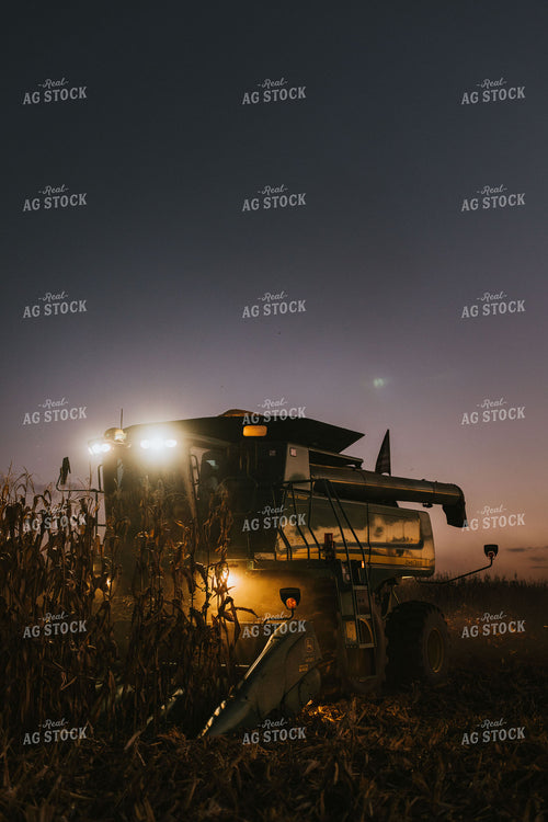 Corn Harvest 9416