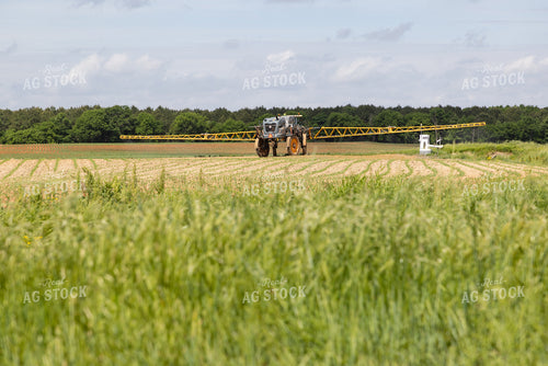 Spraying 79872