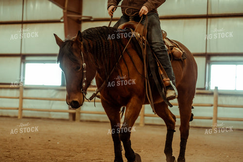 Horseback 58037