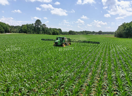 Sprayer in Corn Field 79033