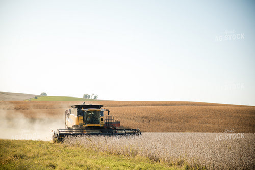 Soybean Harvest 215095