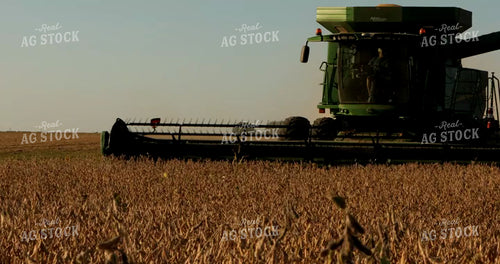 Combine Harvesting Soybeans 5377