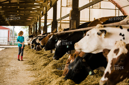 Dairy 2689
