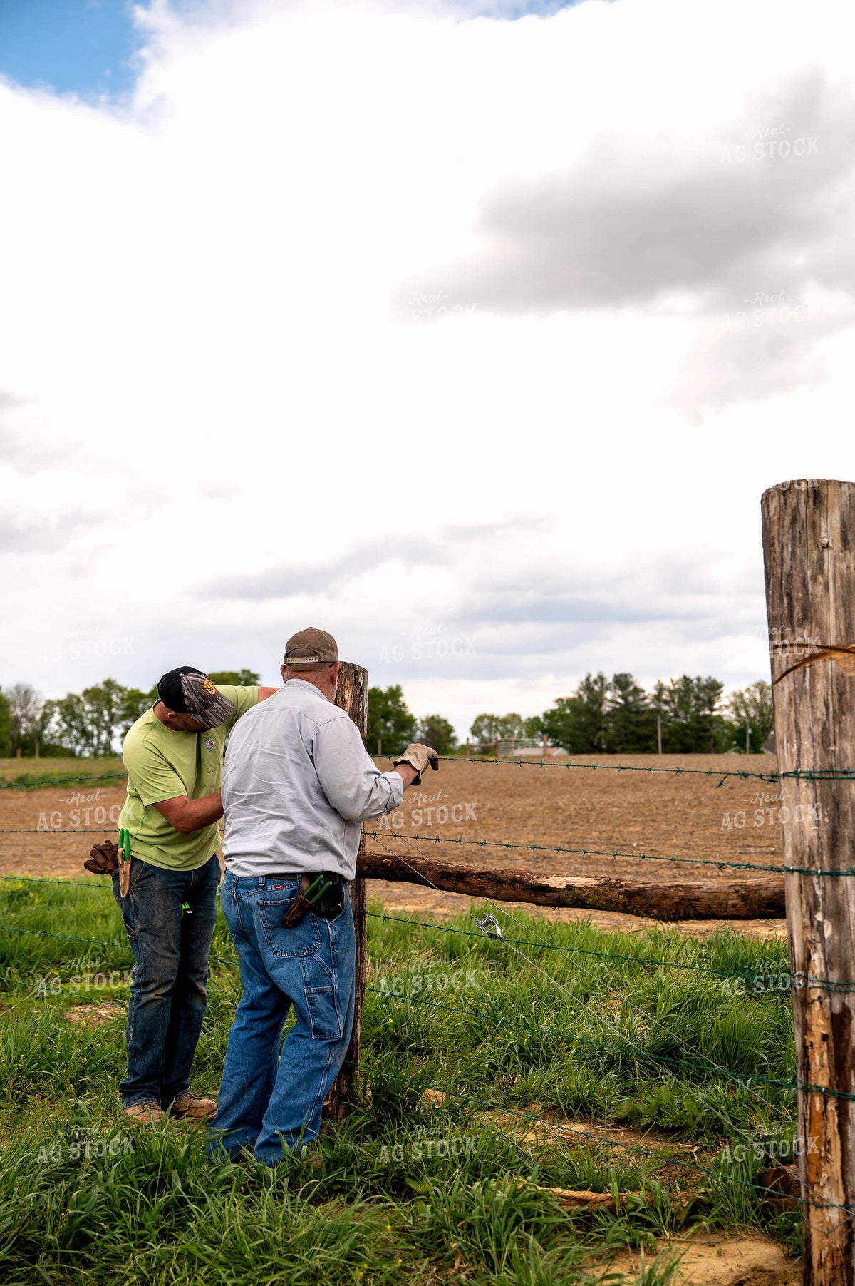 Farm Family Building Fence 115925