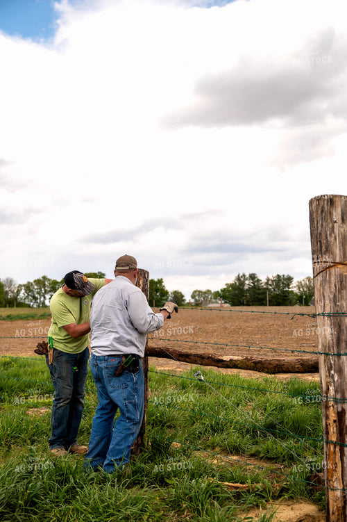 Farm Family Building Fence 115925