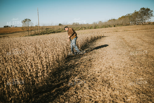 Farmer Testing Soybean Moisture 5219