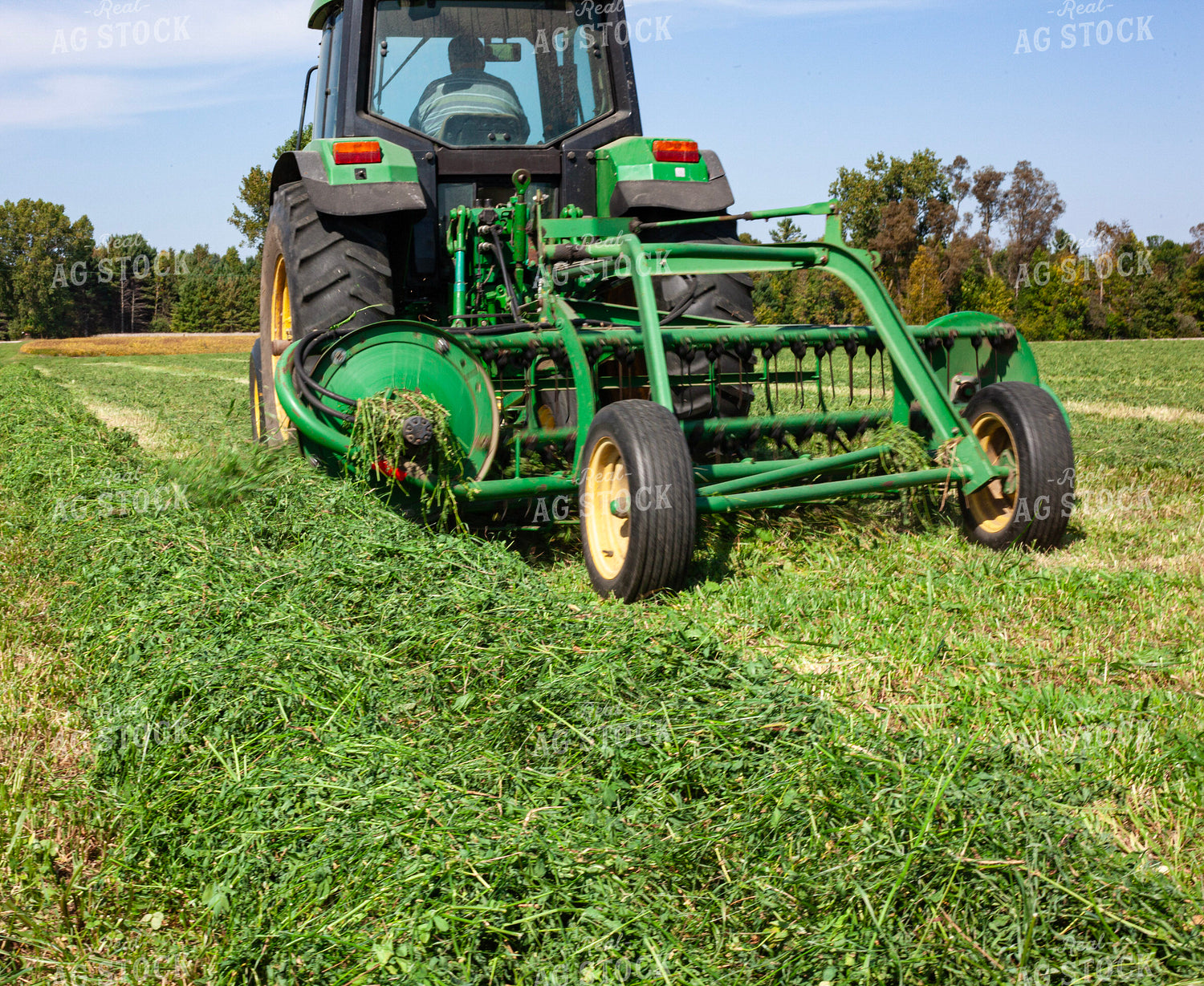 Raking Hay 132128