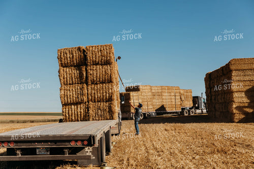 Loading Straw Bales 152194