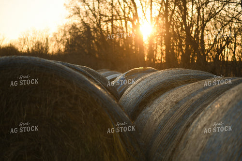 Hay Bales 191018