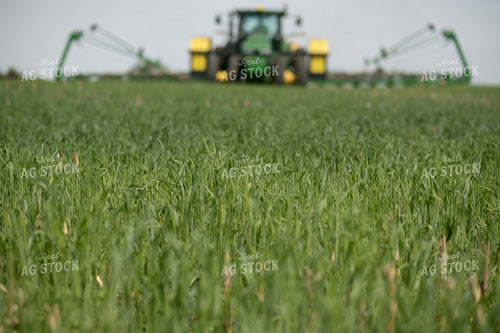 Planter in Field 76116