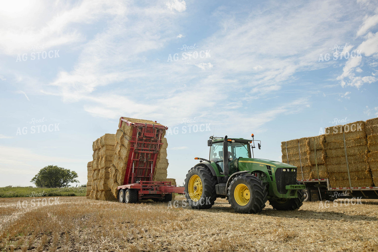 Loading Wheat Straw Bales 296088