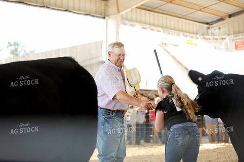 Showing Cattle 127102