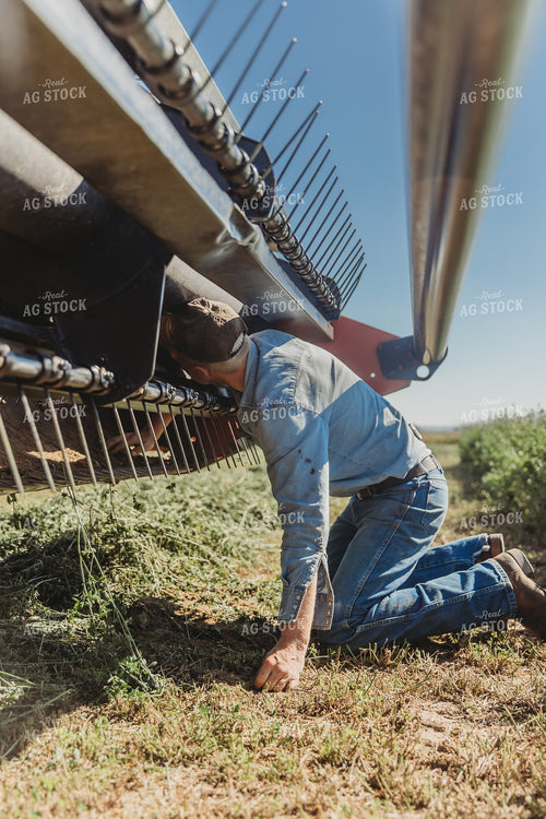 Farmer Working on Combine Head 61108