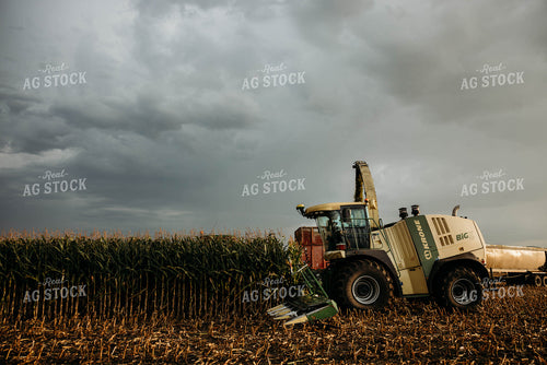 Chopping Corn Silage 152040