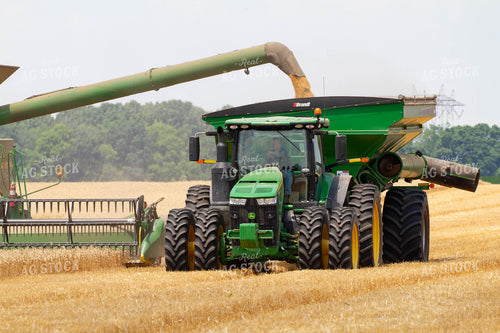 Combine Unloading into Grain Cart 79101