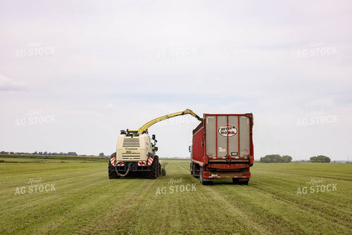 Harvesting Hay 152659
