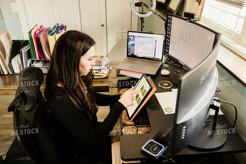 Female Appraiser Working at Computer 9421