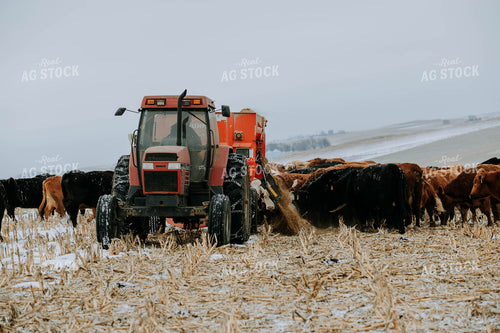 feed mixer Dispensing Feed 77173