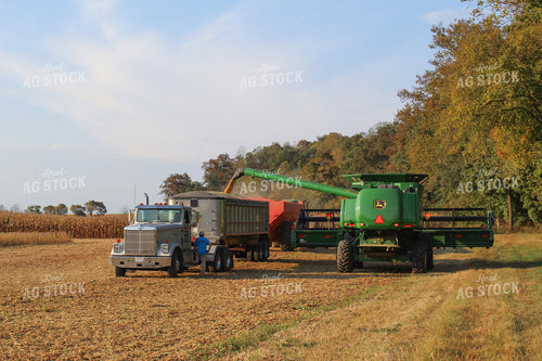 Soybean Harvest 52010
