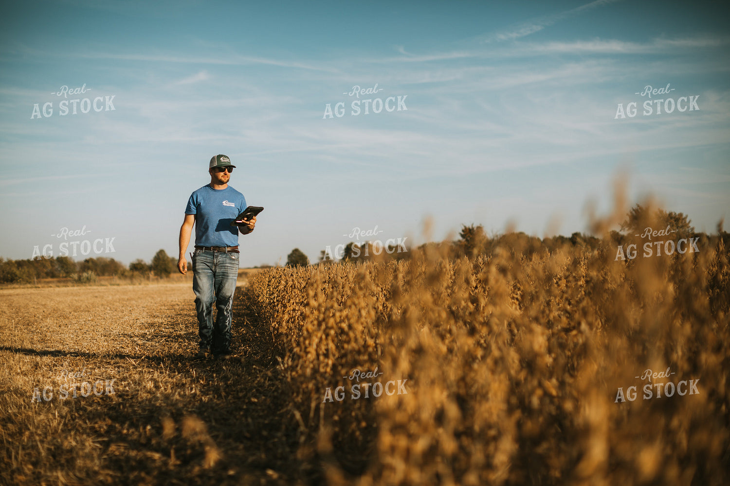 Farmer in Field with Tablet 7173