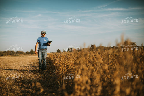 Farmer in Field with Tablet 7173