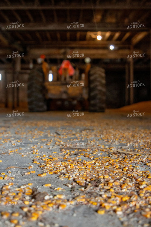 Corn on Ground in Storage 157058