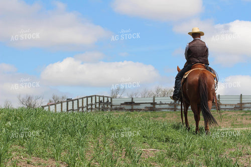 Rancher on Horseback 63003