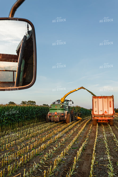 Corn Silage Harvest 272063