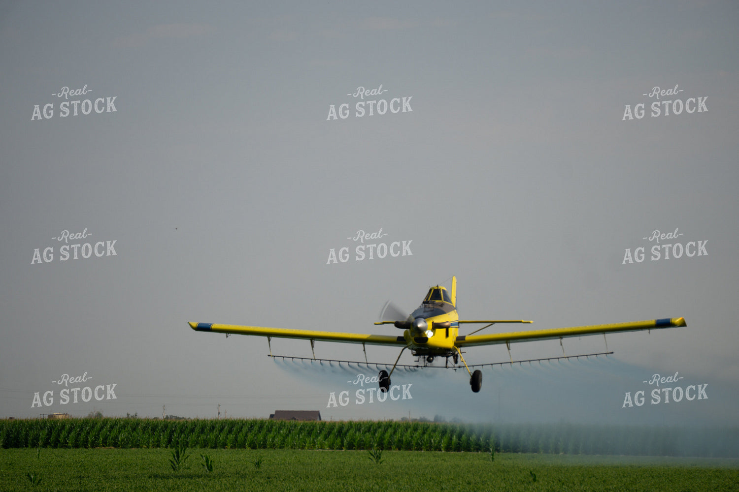 Crop Duster 148043