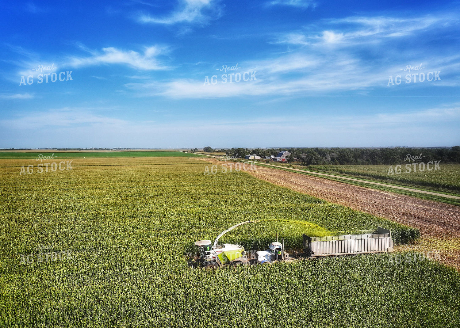 Aerial of Corn Silage Harvest 141398