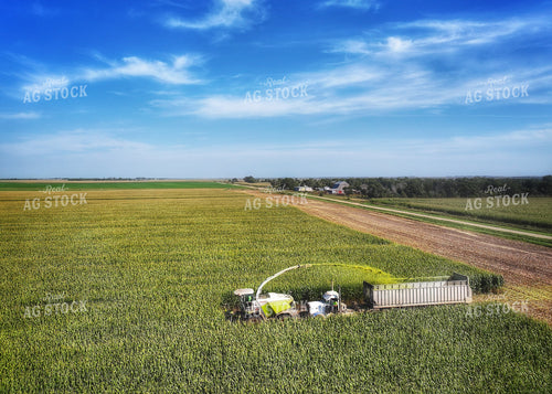 Aerial of Corn Silage Harvest 141398
