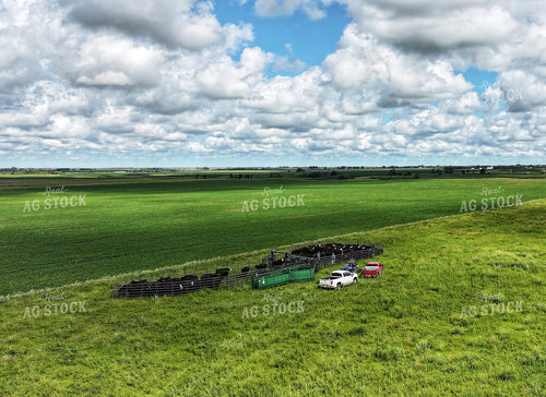 Cattle Pen in Pasture 141363