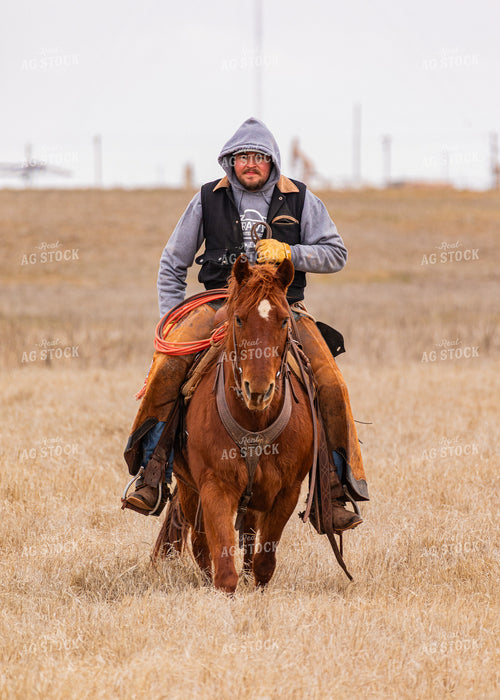 Rancher on Horseback 231074