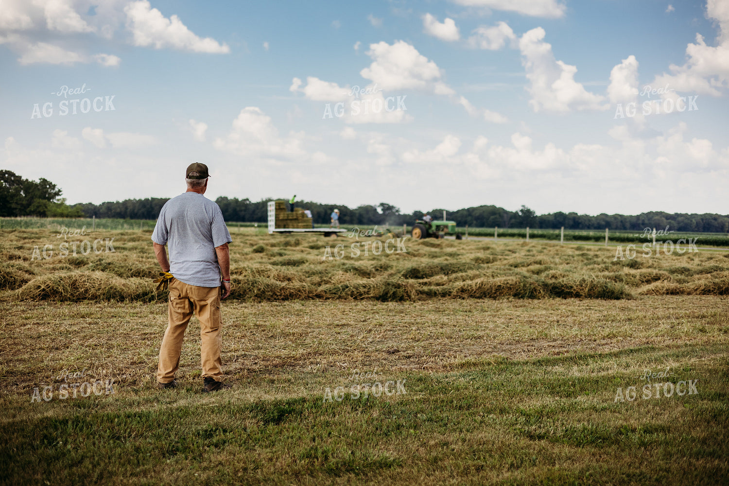 Baling Square Hay Bales 281022