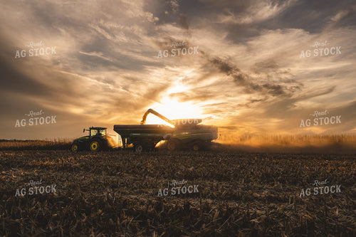 Harvest 196031