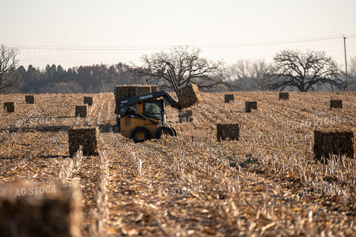 Loading Corn Bales 50453