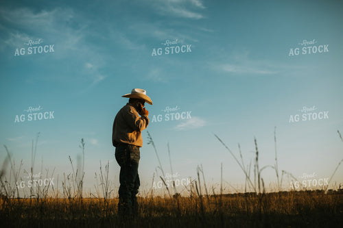 Rancher on Phone in Pasture 6428