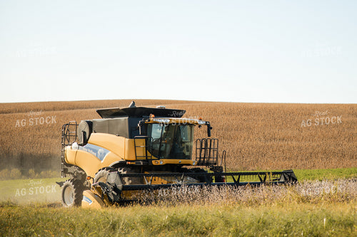 Soybean Harvest 215093