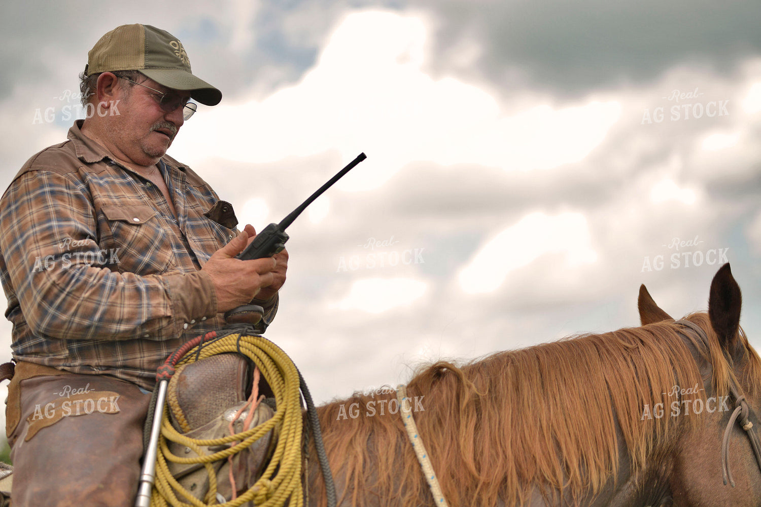 Rancher on Horse 110016