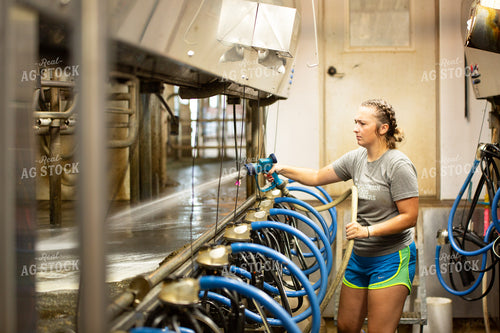 Cleaning Milk Parlor 161097