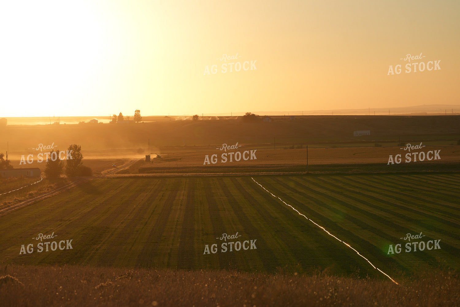 Aerial of Silage Harvest 293009