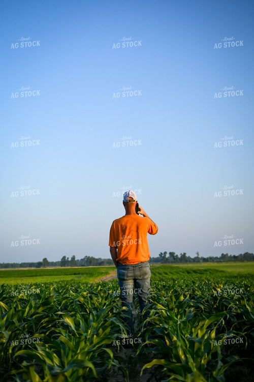 Farmer on Phone while Checking Corn 191120