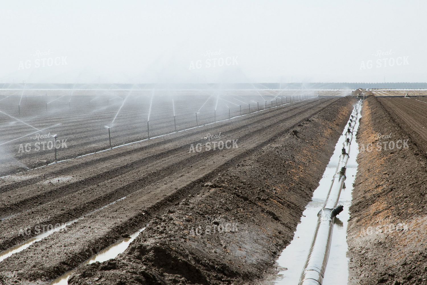 Irrigation System in Field 105096