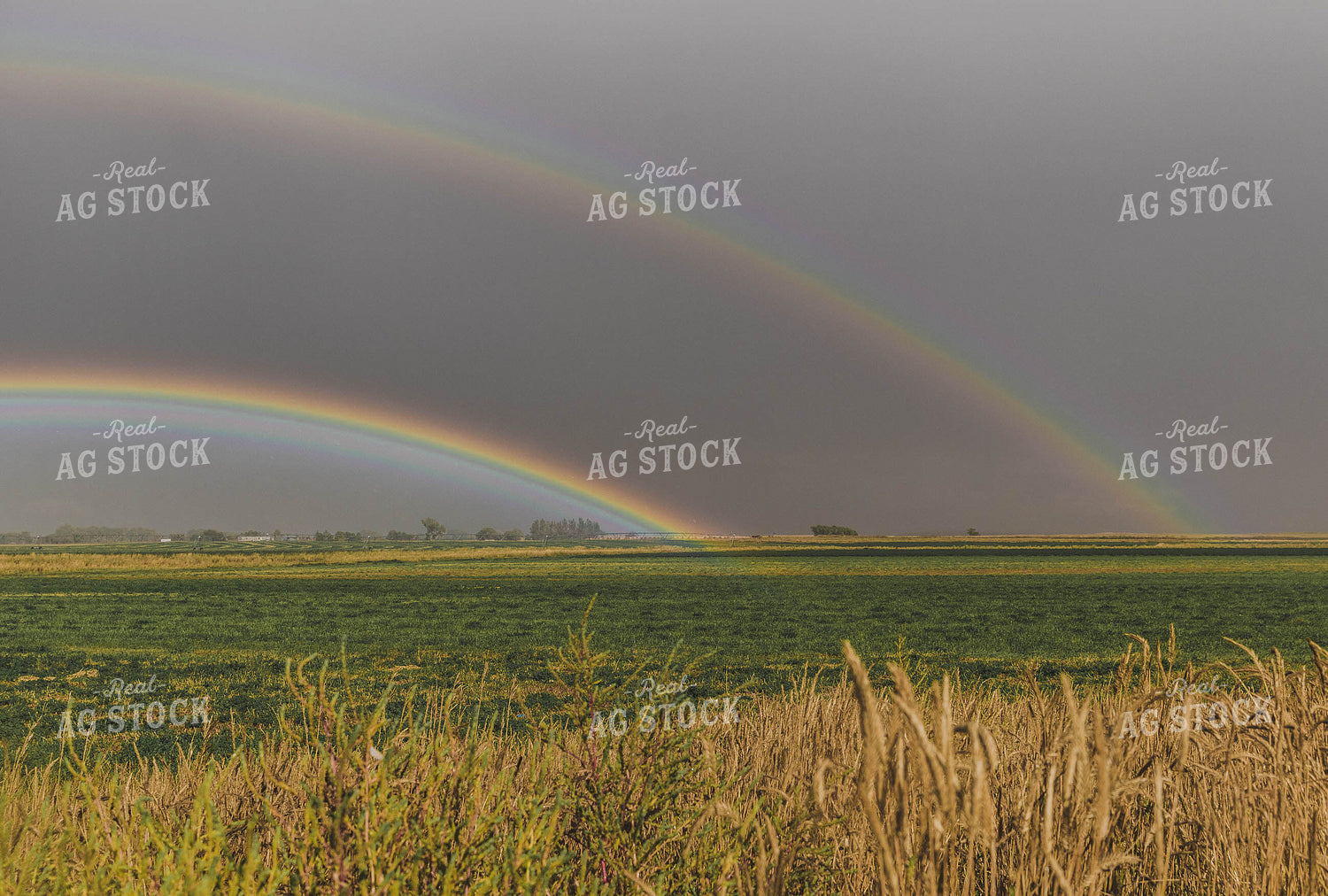 Double Rainbow Over Hay Field 61051
