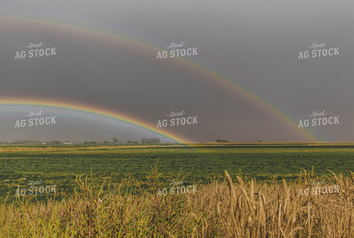 Double Rainbow Over Hay Field 61051