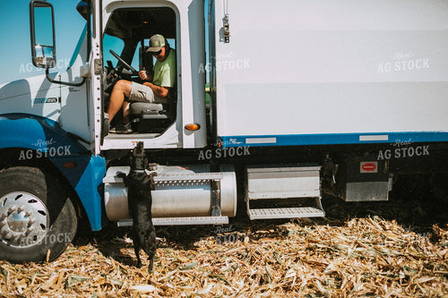 Farm Dog Greeting Farmer 4697
