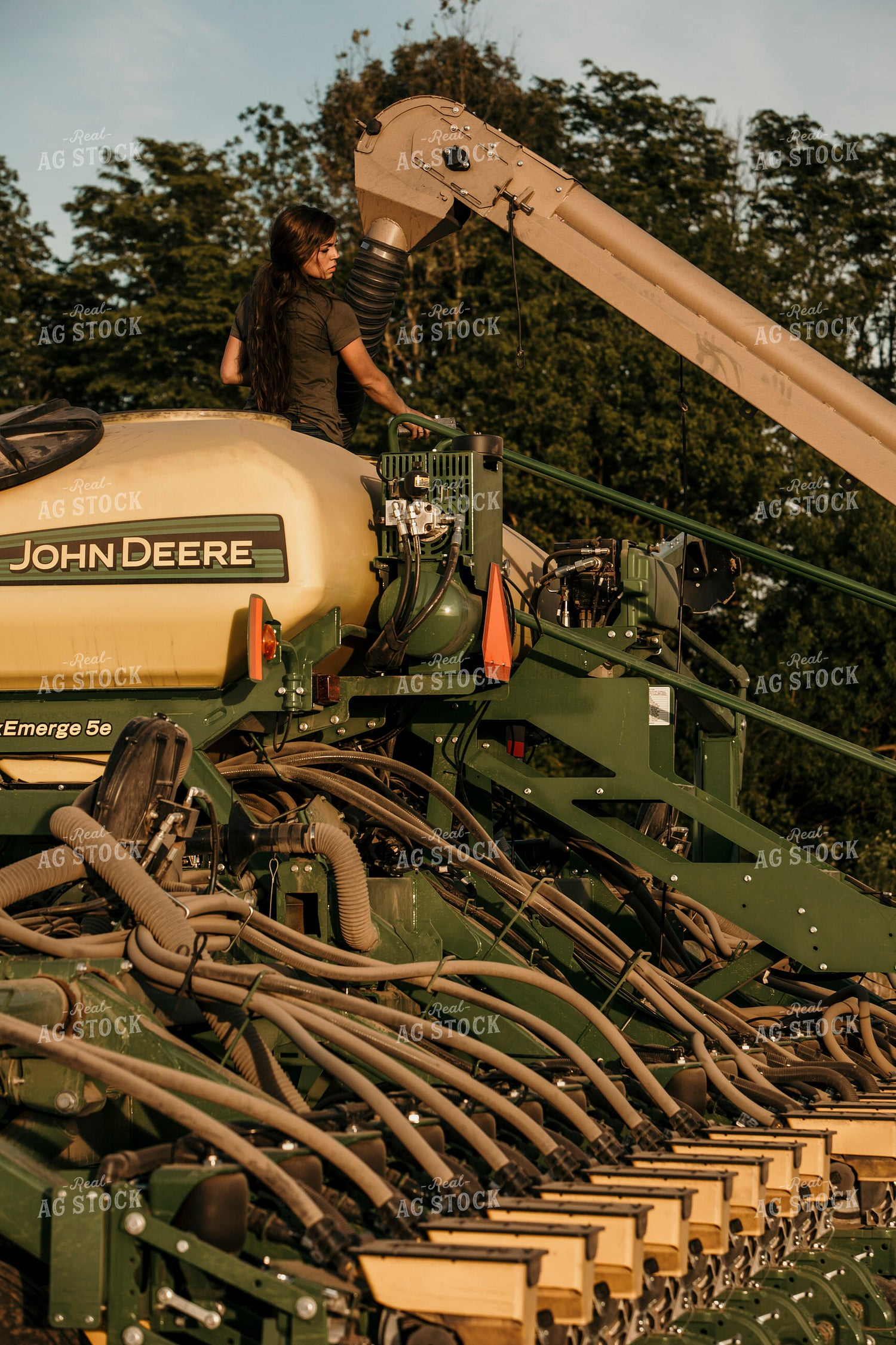 Planting 2804