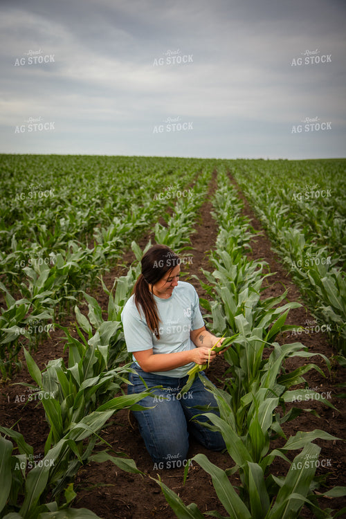 Female Farmer Checking Corn 67781