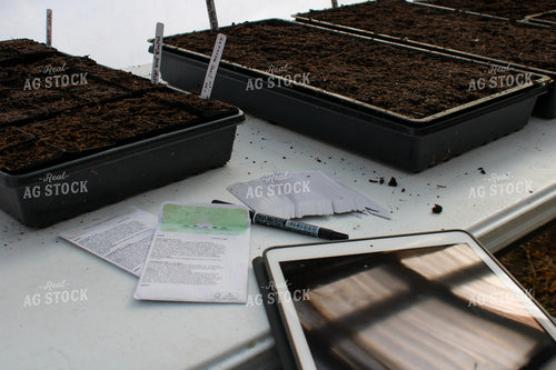 Planting Seeds in Greenhouse 240007