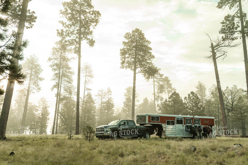 Horse Trailer 58309